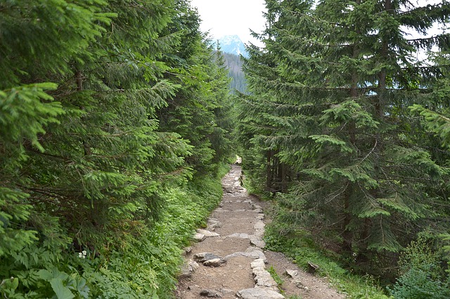 Wyprawy górskie i trasy piesze w Zakopanem – podstawowe informacje
